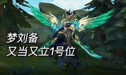 新皮肤刘备爆料视频,华丽变身，王者归来！