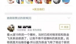天涯爆料抓人了吗最新视频,抓人进展揭秘，真相即将揭晓