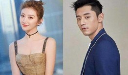 张继科和刘雯天涯爆料视频,背后真相引发热议