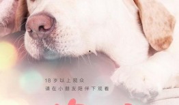 小狗奶瓶在线观看,温馨治愈的宠物成长记