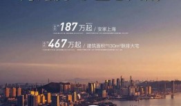 最新一周年爆料新闻,最新爆料带你回顾一年辉煌历程