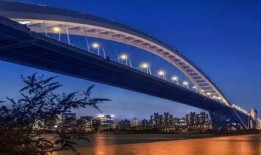 卢浦大桥爆料视频播放,网友爆料视频揭示惊人真相