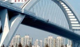 卢浦大桥爆料视频播放,网友爆料视频揭示惊人真相