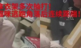 大瓜校园爆料视频,揭秘校园风云事件