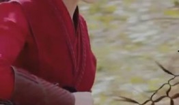 青枫最新爆料视频,揭秘背后惊人真相！