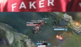 爆料好玩视频大全,好玩视频大全精彩瞬间大盘点