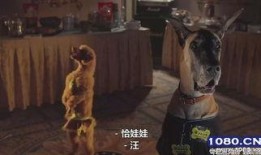 比弗利拜金狗在线观看,奢华都市的疯狂冒险