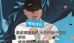 李安爆料汤唯视频播放,视频播放背后的感人瞬间