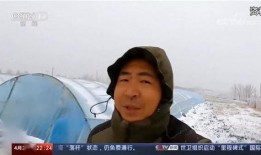 农民网红爆料事件视频播放,揭秘农村生活现状