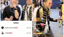 哥哥团队爆料视频,独家内幕大公开