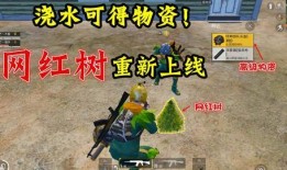 和平精英最新爆料在哪看,揭秘最新游戏内容，精彩玩法抢先看！