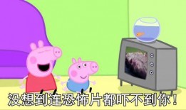 王者佩奇爆料视频在线观看,揭秘游戏新内容与精彩瞬间