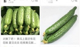 山东黄瓜爆料视频最新,揭秘田间地头的新鲜秘密