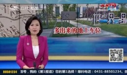 返厂最新爆料视频大全图片