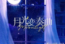 爆料新闻小说,爆料新闻背后的真相