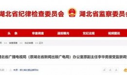 湖北新闻网爆料网,揭秘背后真相，聚焦社会热点