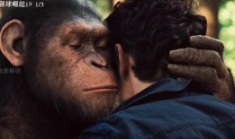 电影猩球崛起1在线观看,崛起之路——人类与猿类的命运交织