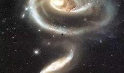 仰望星空真实爆料视频,真实爆料视频背后的惊人真相