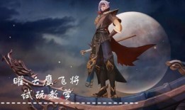 爆料云鹰飞将视频,震撼视频背后的传奇故事