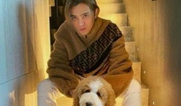 台媒罗志祥爆料视频全集,娱乐圈背后惊人内幕