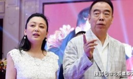 陈红和陈凯歌金星爆料视频,娱乐圈幕后真相大揭秘