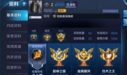 王者最新皮服爆料消息,全新皮服爆料，神秘英雄华丽登场！