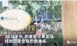 中国台风最新爆料新闻视频,揭秘中国沿海地区最新风暴来袭