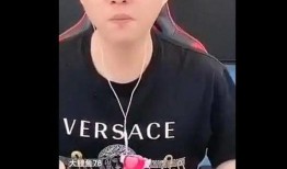 哥哥团队爆料视频,独家内幕大公开