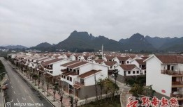 平塘县塘边镇爆料视频,揭秘当地民生热点事件