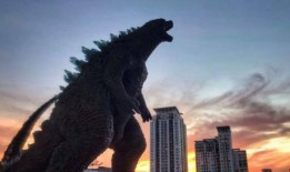 荒野乱斗比赛爆料视频,精彩瞬间抢先看！