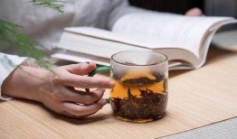 喝茶爆料最新视频大全集,最新视频大全集精彩瞬间回顾