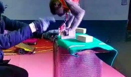 猴子表演杂技在线观看视频,在线观看猴子表演杂技的精彩瞬间