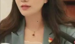 戴璐原始爆料视频大全集,揭秘娱乐圈惊人内幕