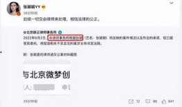 张颖颖微博爆料视频大全,揭秘幕后真相