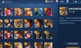 王者最新皮服爆料消息,全新皮服爆料，神秘英雄华丽登场！