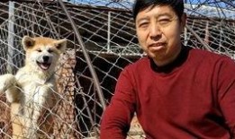 刘哥在线吃瓜视频播放免费,免费观看，揭秘娱乐圈幕后故事