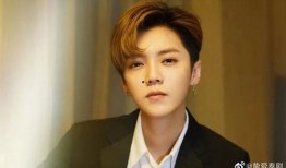 爆料鹿晗妈妈视频大全,揭秘明星家庭温馨瞬间