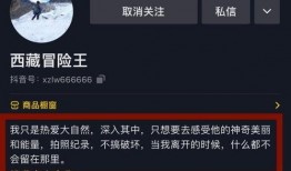 西藏冒险王事件爆料视频,生死边缘的极限挑战与真相曝光