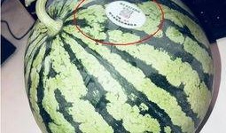 51网红吃瓜,揭秘娱乐圈幕后真相