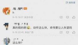 卓伟爆料顶流明星视频,卓伟独家爆料引发娱乐圈轩然大波