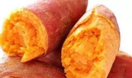 薯匠红薯爆料视频,揭秘红薯种植与加工全过程