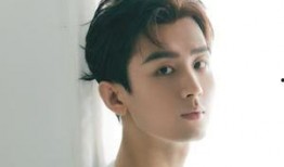 成毅明星爆料视频在线观看,揭秘明星幕后故事