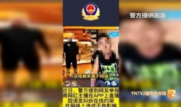 网红爆料去缅甸约架视频,一场跨越国界的网络风波
