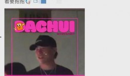 刘大锤爆料图片大全视频,图片大全视频精彩瞬间大揭秘