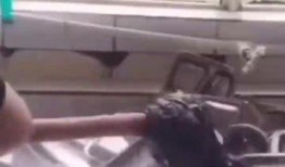 网友爆料拖把洗碗视频,拖把洗碗新技能，家务清洁两不误！