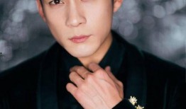 男明星电视剧爆料大全最新,最新爆料大全大揭秘