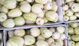 网红吃瓜送什么礼物好,这份礼物让你成为焦点！