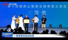 彭山新闻爆料热线,见证城市变迁，倾听民声心声