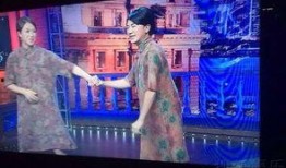 金星秀王祖蓝在线观看,在线观看重温欢乐时光