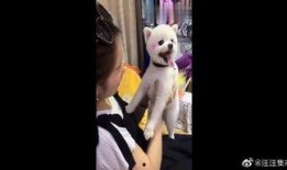 马蓉知乎爆料视频